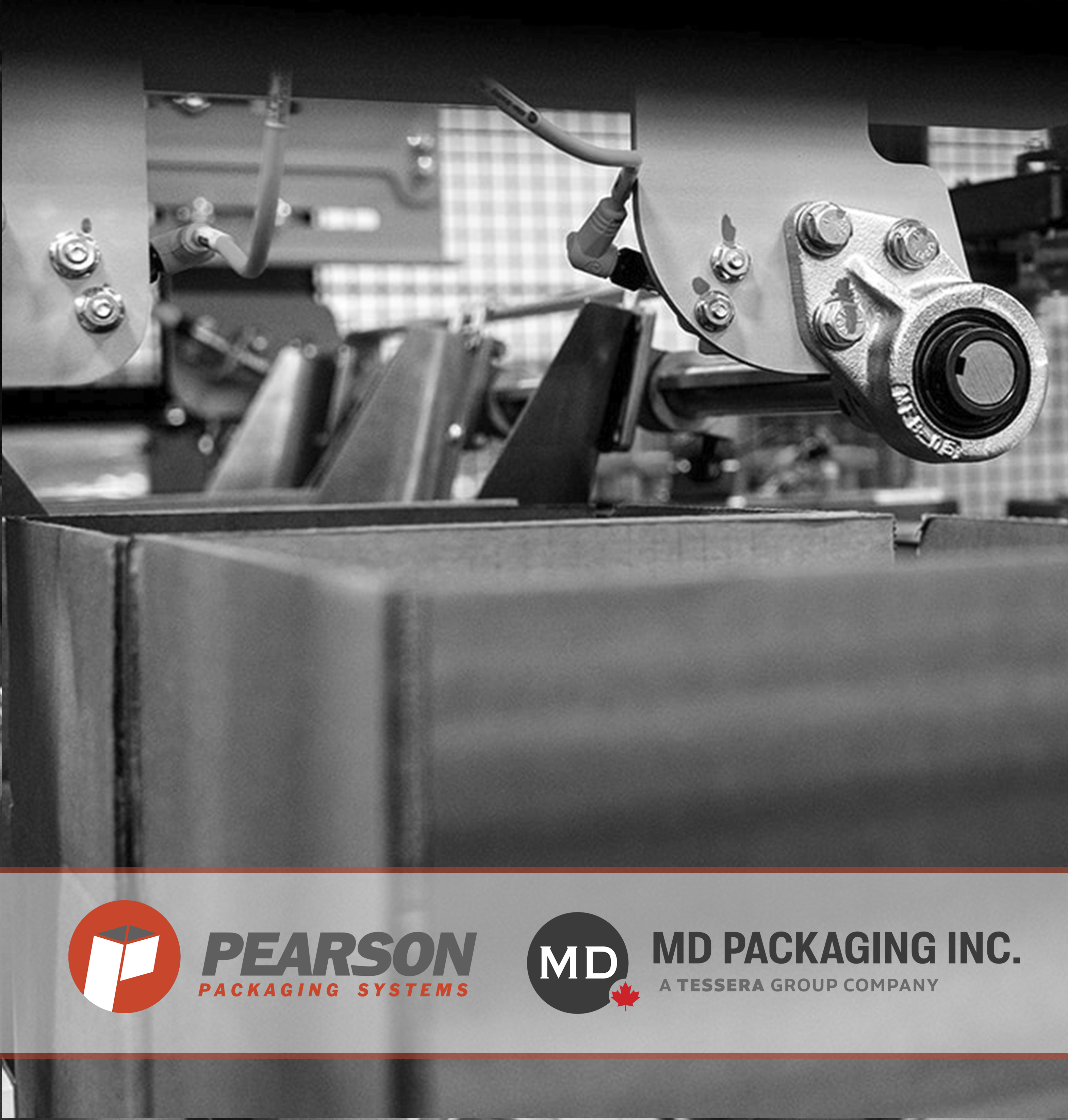 MD Packaging Square TN 1